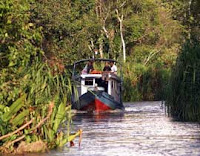 Tanjung Puting