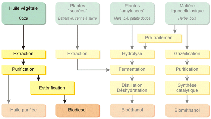 [biodiesel.gif]