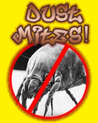 [no-dust-mites.jpg]
