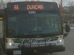 Bus 66