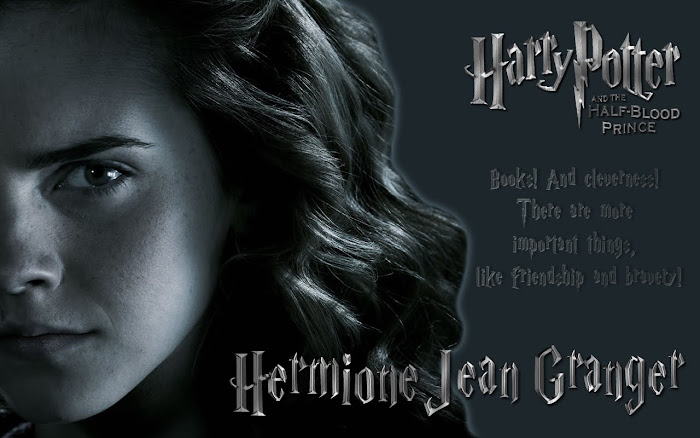 desy potter: HARRY POTTER and the deathly hallows