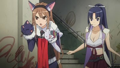 Ookami-san