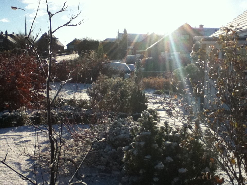 The Duchy Of Tradgardland November 2010