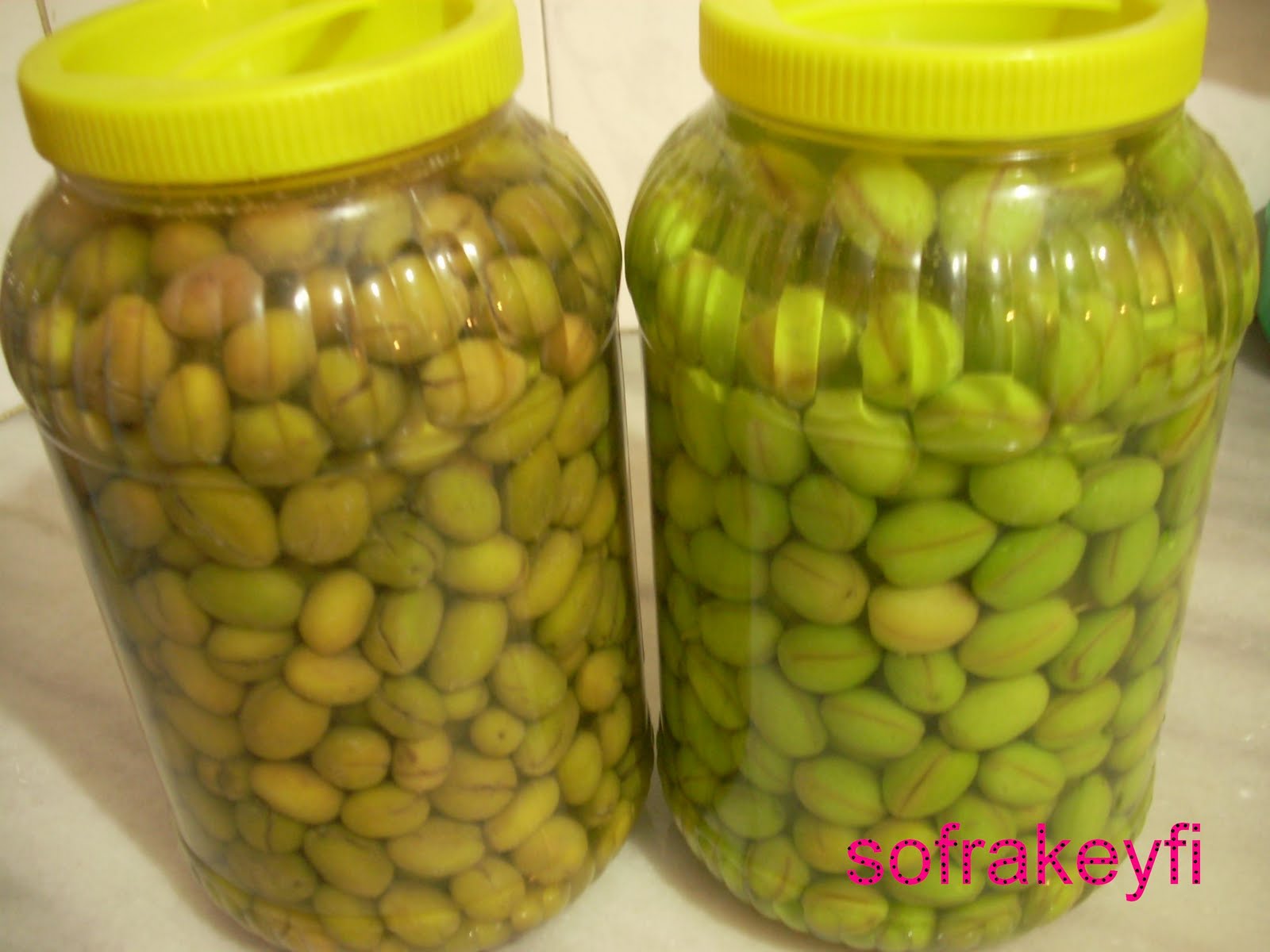 Evde Kırma Yeşil Zeytin Nasıl Yapılır Evde Kırma Yeşil Zeytin Nasıl Yapılır
