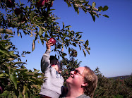 Drew and Daddy pick apples