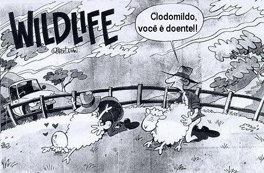 [doente.jpg]