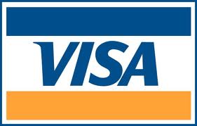 visa go logo