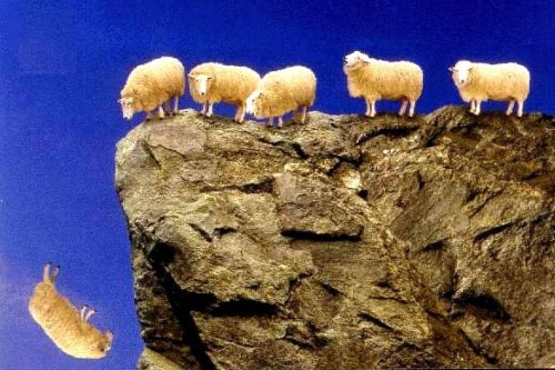 sheep-cliff1.jpg