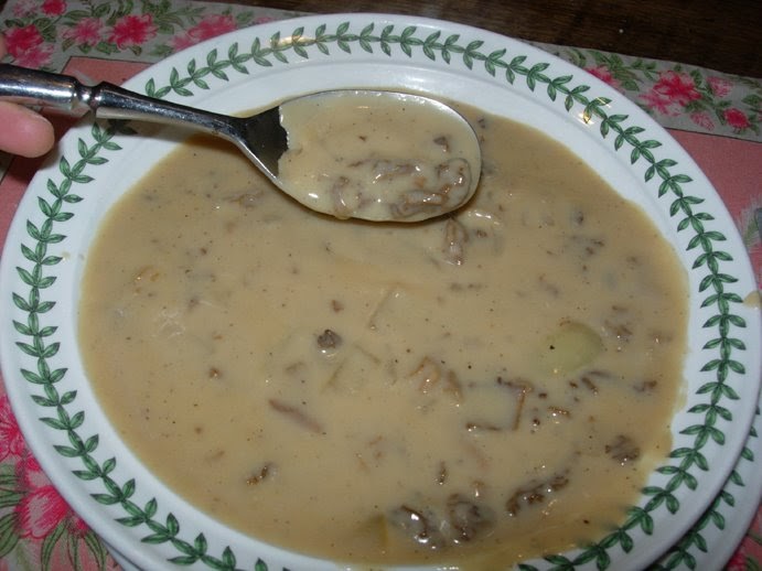 Ronna's Blog Cream of Morel Soup