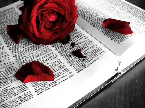 READING AT MYRA_ZOE