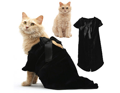 fashionable-cats-12.