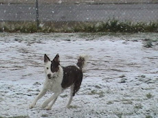 Liz running