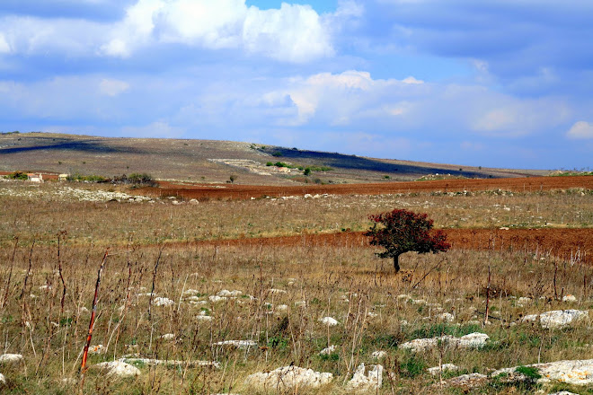 Panorama Murgiano
