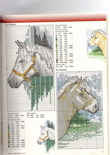 [cavalos.jpg]
