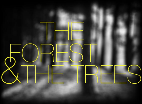 THE FOREST & THE TREES