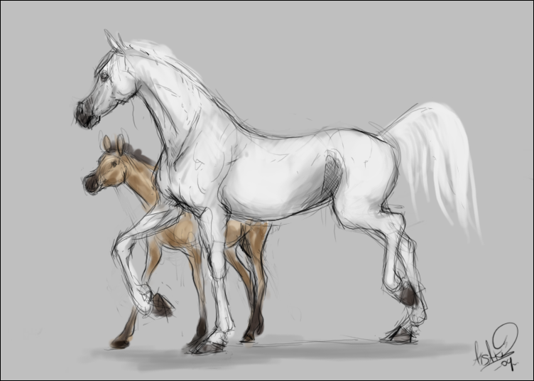 [horse+and+calf+copy.png]