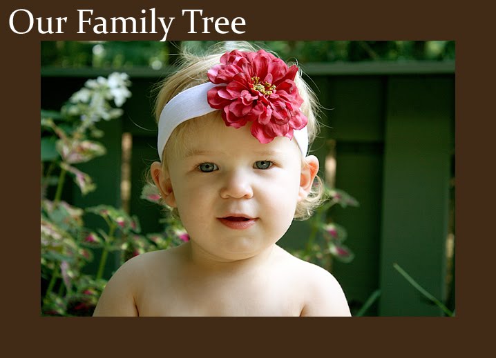 Our Family Tree