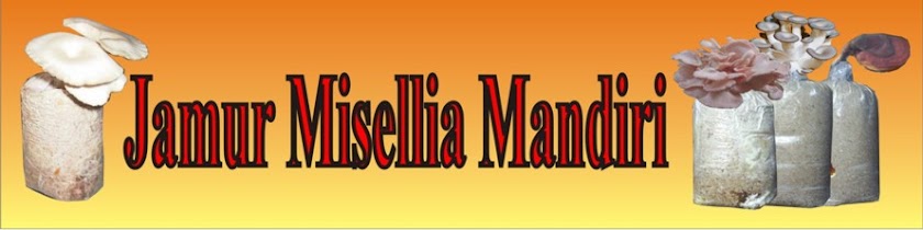 Jamur Misellia Mandiri