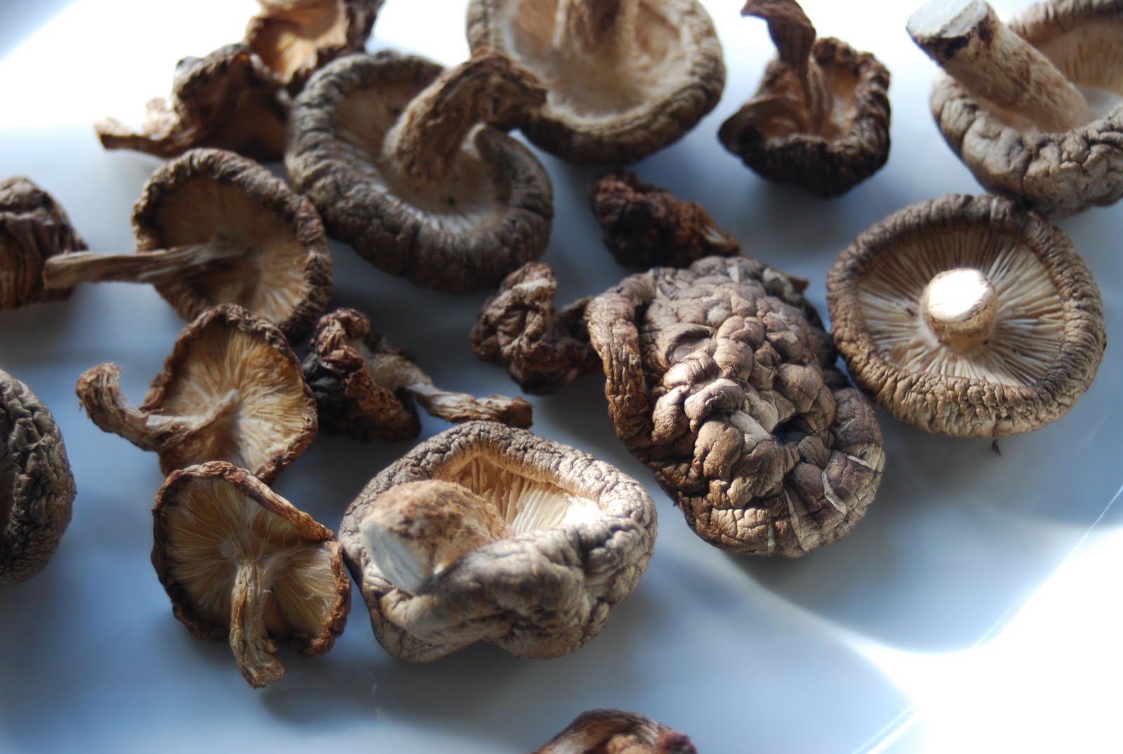 Yuki's Kitchen Rich flavour Shitake mushroom Stock "Dashi"