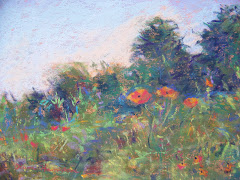 Lively Poppies