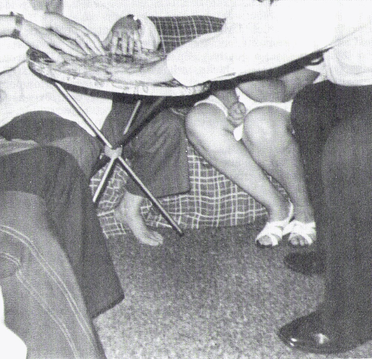 [Sorrat-PressLevit.jpg]