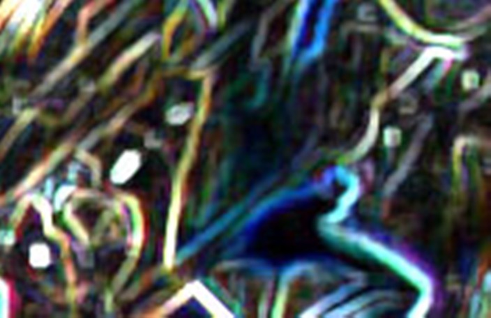 [HandAnomFilterInnerstructure.jpg]