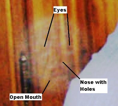 [GraParPlusBoyOrbFaceEnlargedEdit01.jpg]