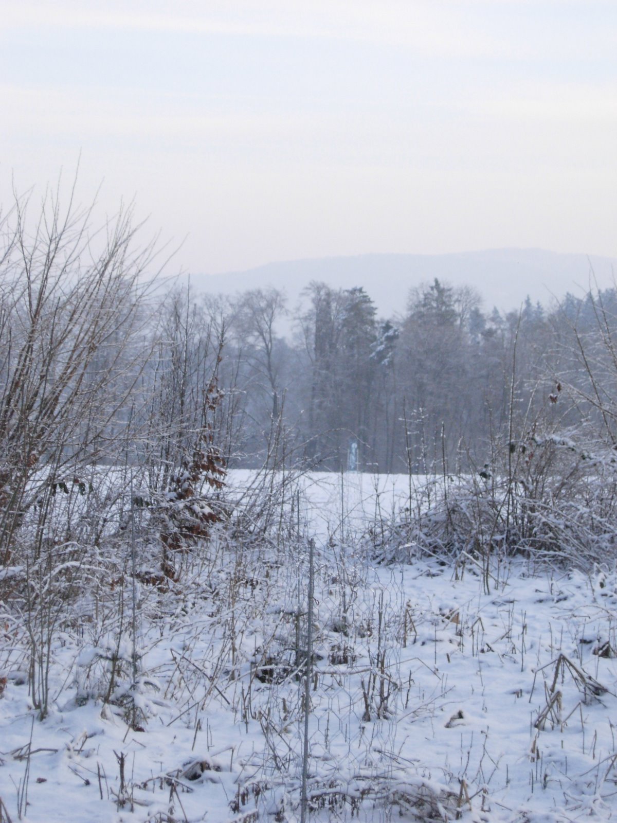 [FotocaseSuisseAnonymized07.JPG]
