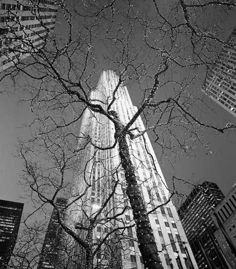 [new-york-rockefeller-tree-lights-night-431210.jpg]