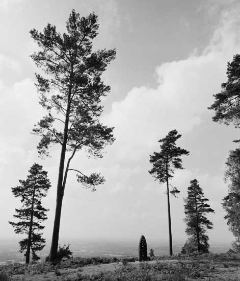 [surrey-leith-hill-377901.jpg]