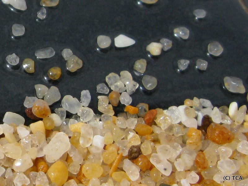 [TCA_sandstone.JPG]