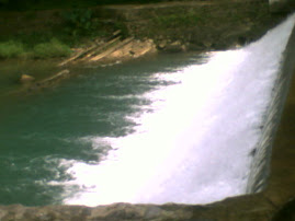 Presa de San Felipe