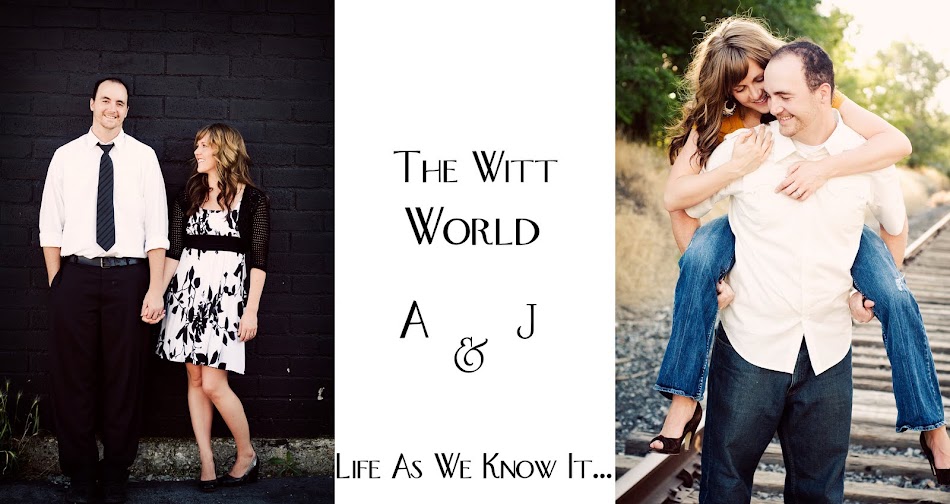 The Witt World