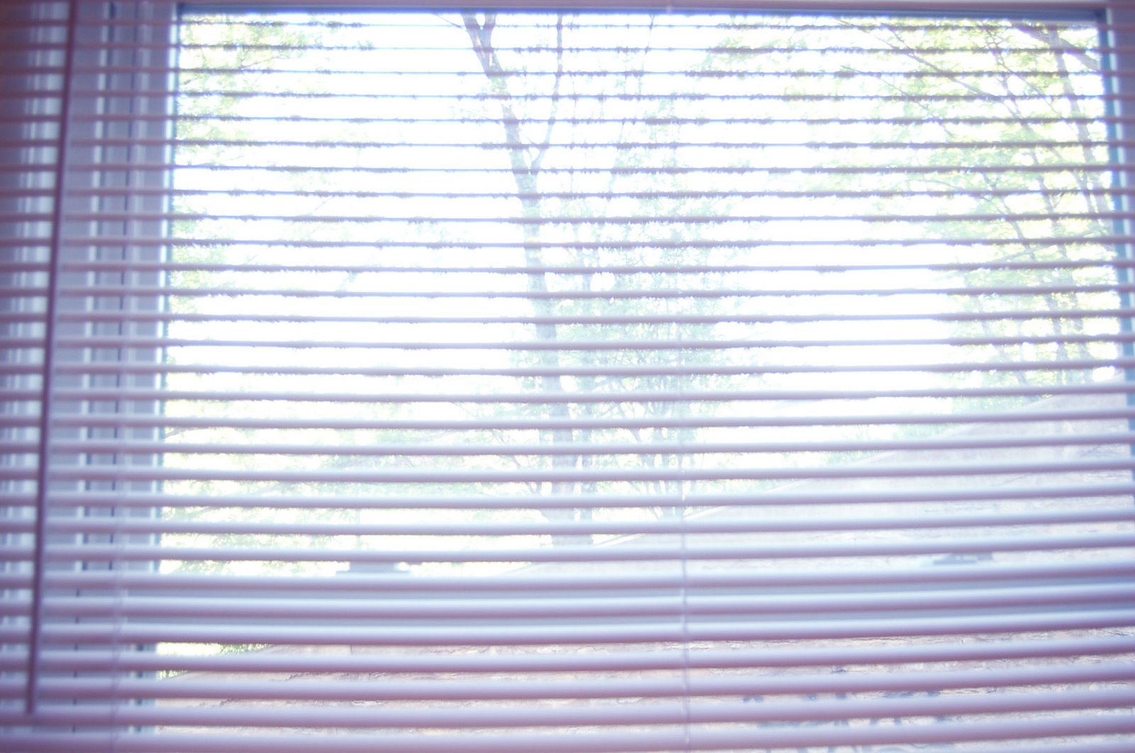 [DSC_3167.JPG]