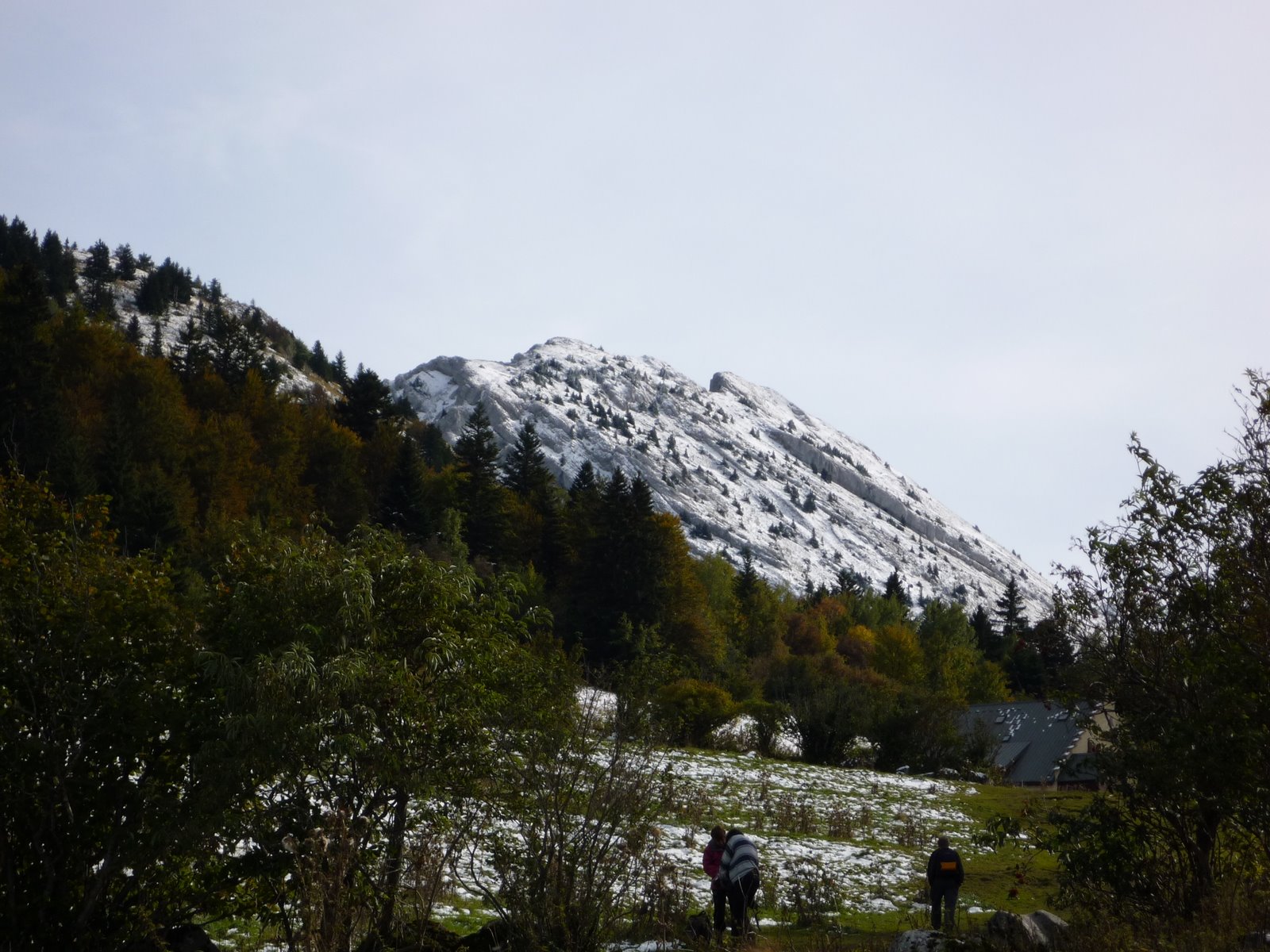 [P1000272.JPG]