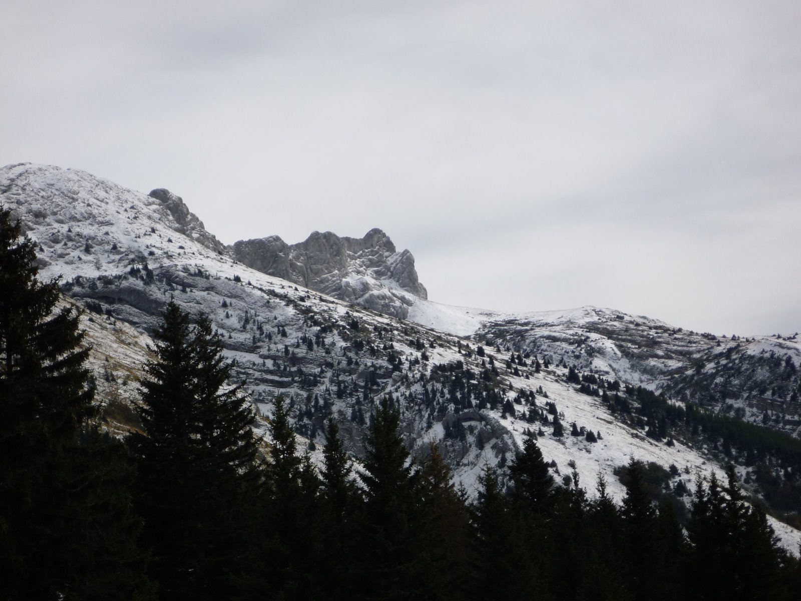 [P1000281.JPG]
