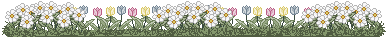 [barra35.gif]