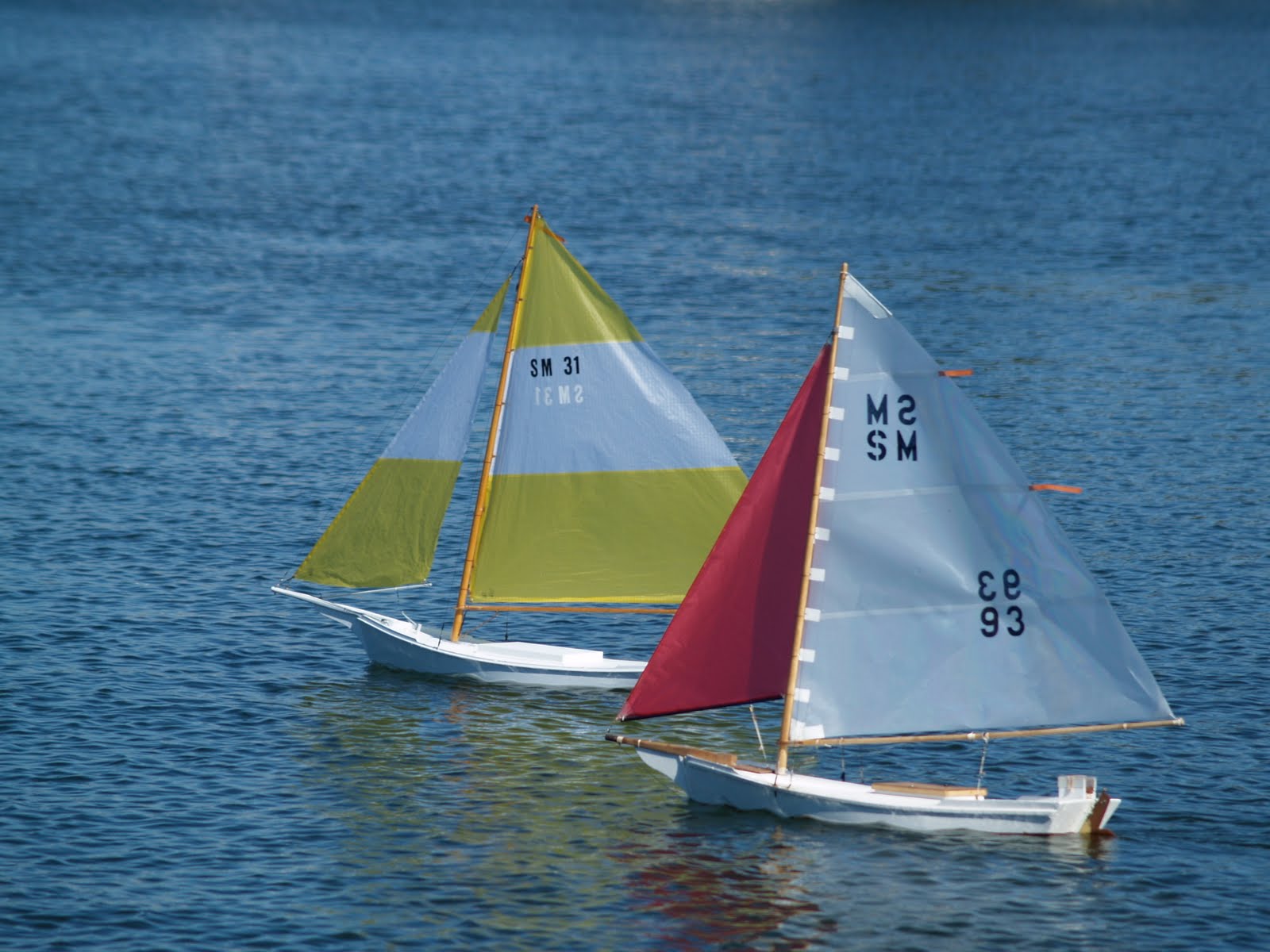 [race+boats+2.JPG]