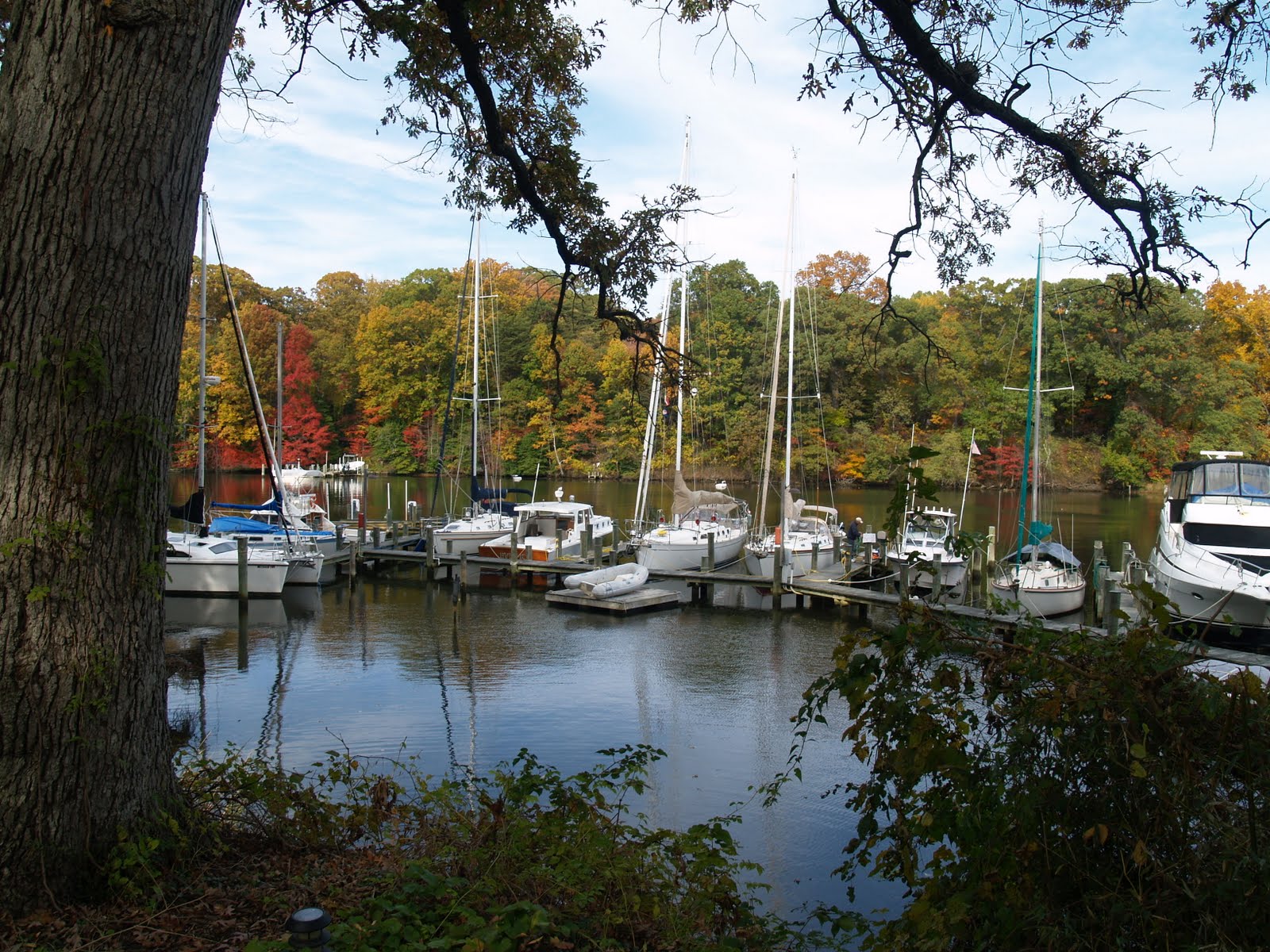 [Annapolis+October+2010+005.JPG]
