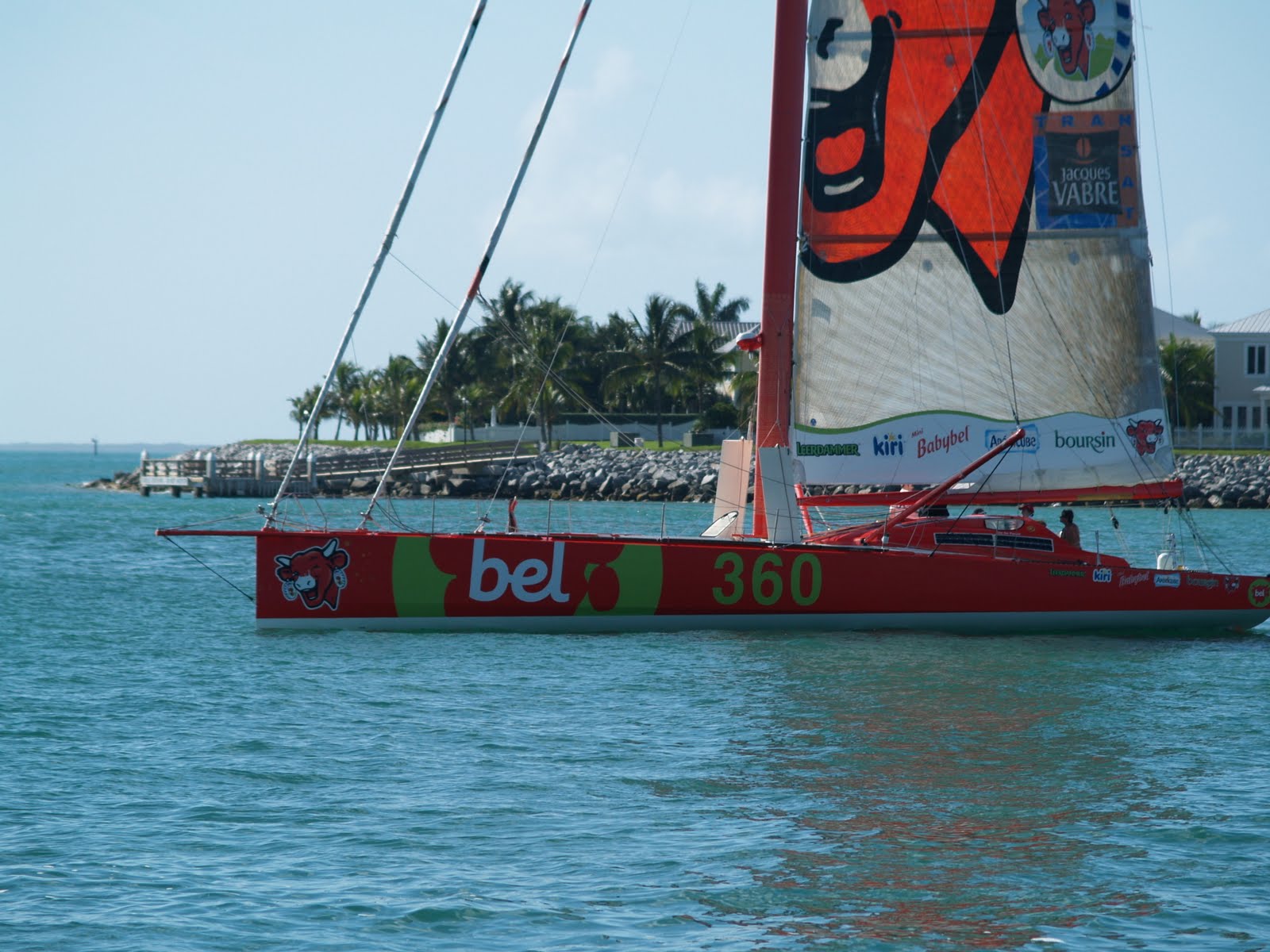 [imoca.JPG]