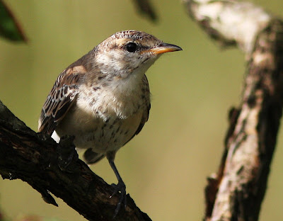 learned that posing slantwise a...