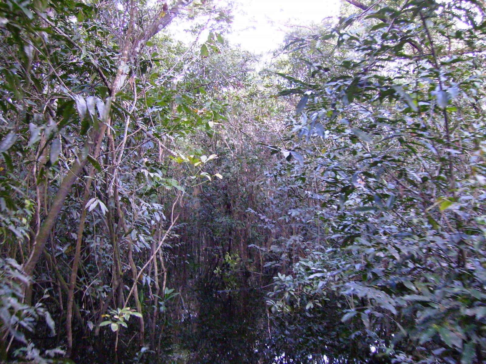 [P2090343.JPG]