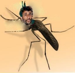 Mosquitoes? You want Mosque-itoes ...send your mosquitoes to IRAN Prez...