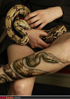 vicious snake tattoo