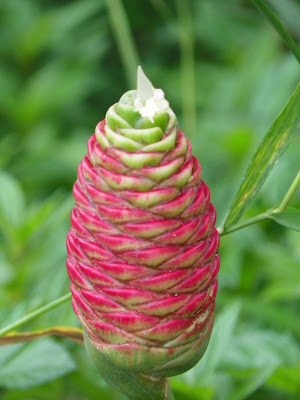 Simply Living: 9/1/10 - 10/1/10