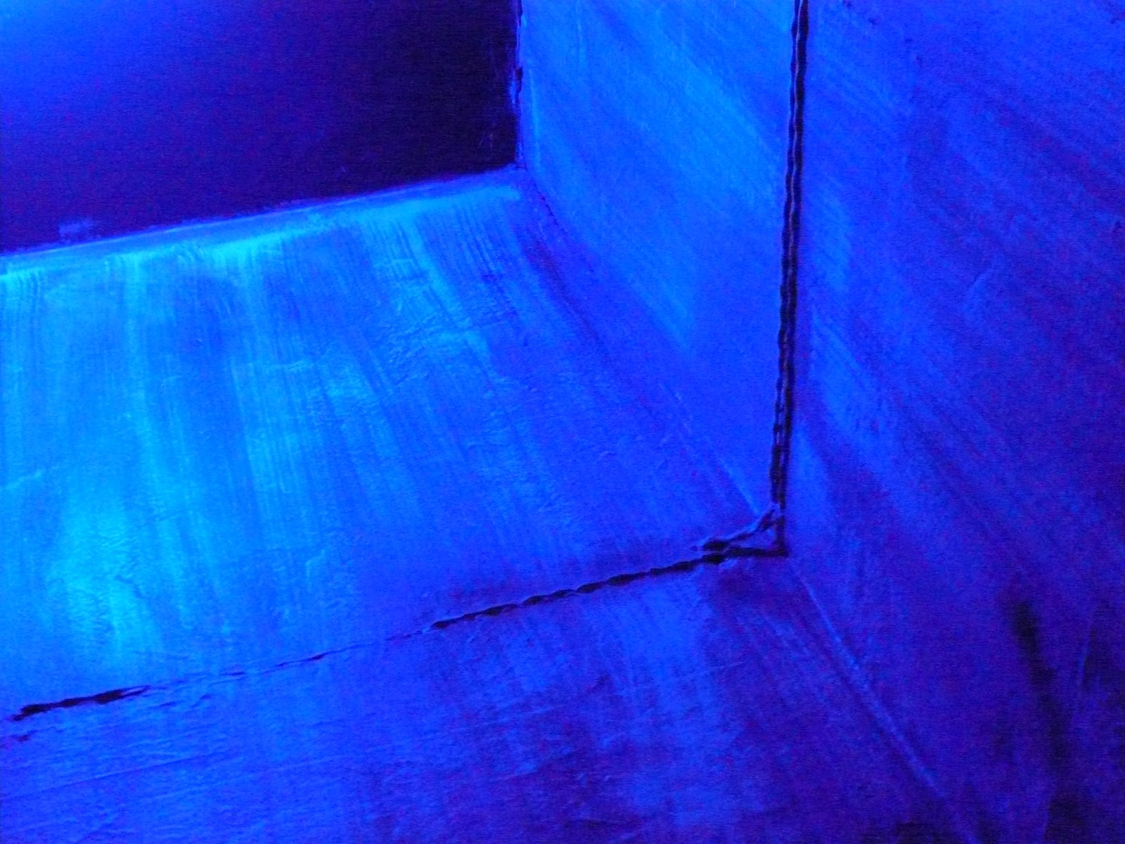 [bourgeois+pig02-without+light.JPG]