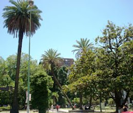 PLAZA LAVALLE ABUNDANTE VEGETACIÓN