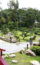 JARDÍN JAPONÉS 5