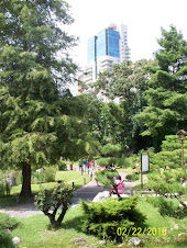 JARDÍN JAPONÉS 6