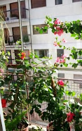 JARDÍN EN BALCÓN